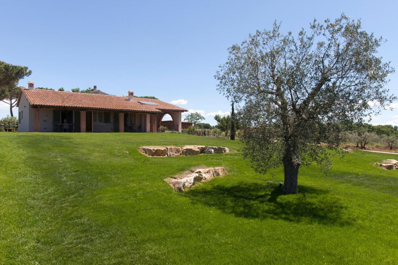 Bauernhof Colle Oliveto